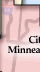 City Areas of Minneapolis & St. Paul